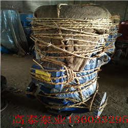 GRG50-200A熱水循環泵