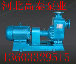 ZW50-15-30自吸泵 自吸能力強