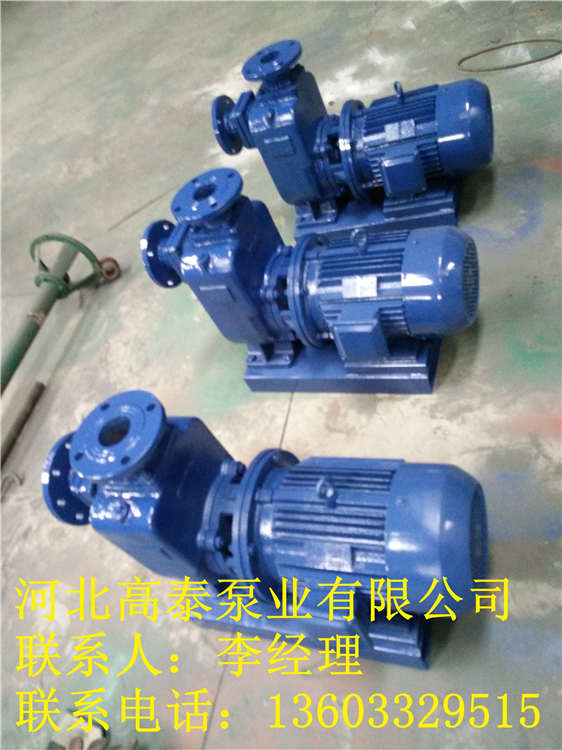 100ZX120-74自吸泵價格